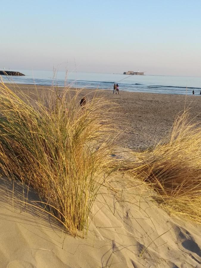 Location Le Samaria Villa 29 - Mail de Rochelongue Agde Esterno foto